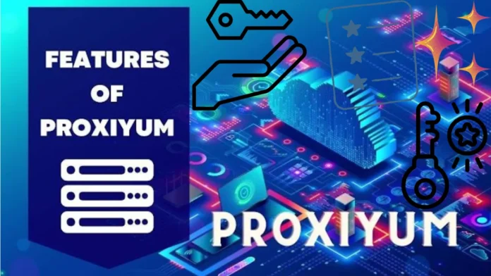 Understanding the Proxiyum API for Developers